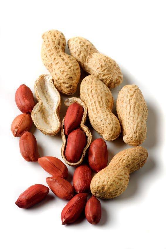 Top 5 Superfoods you should add to your diet