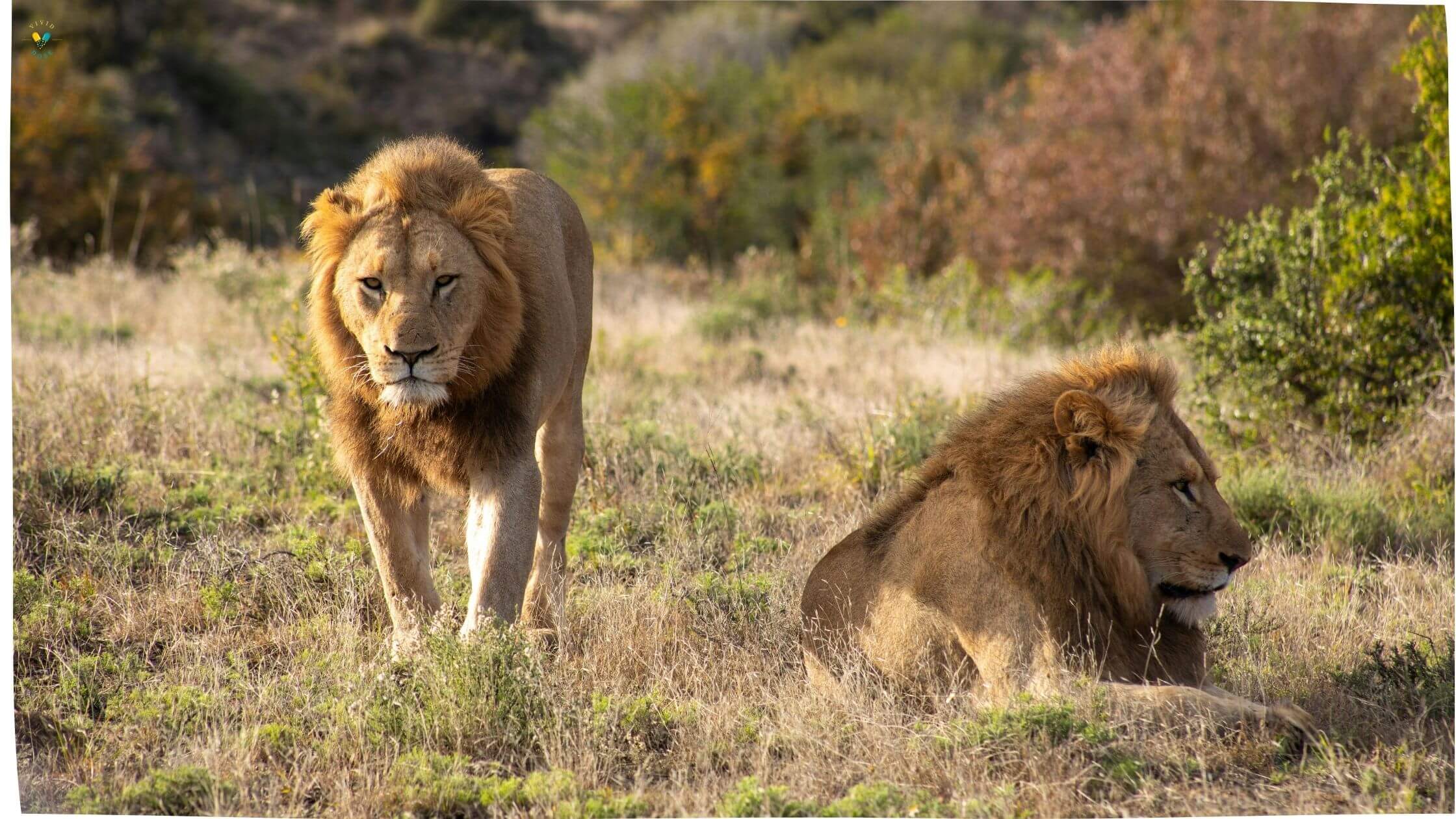 Yankari Game Reserve
