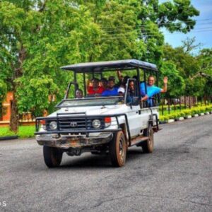 Safari Ride. Yankari Game Reserve