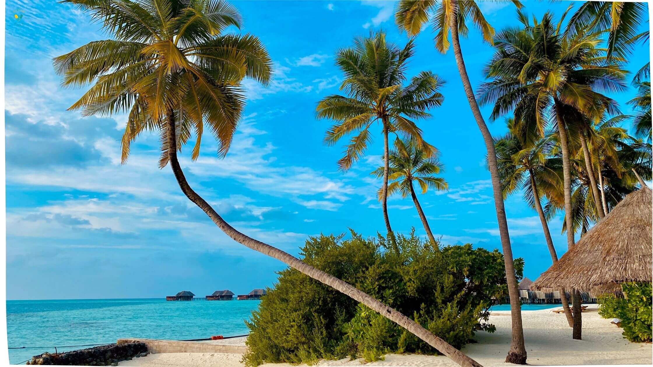 7 Beautiful Places to Visit in the Maldives
