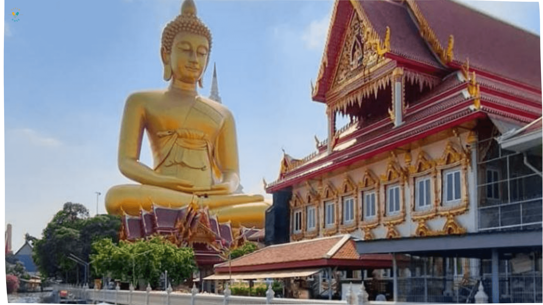 Fun Things to Do in Thailand